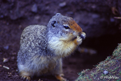 149-Canada-Alaska-Banff_NP