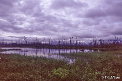 009_Canada-Osten-Quebec-am-Weg-nach-Norden