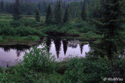 012_Canada-Osten-Quebec-am-Weg-nach-Norden