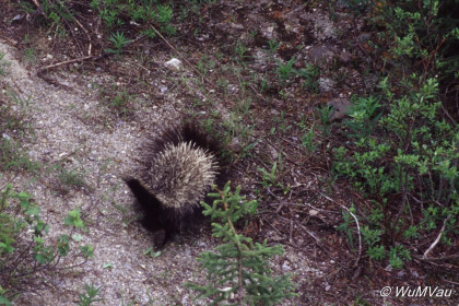 019_Canada-Osten-Labrador