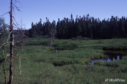 023_Canada-Osten-Labrador