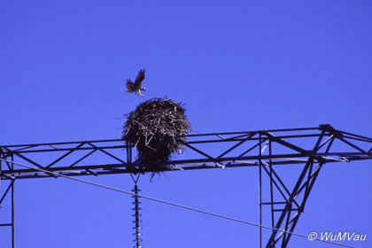 025_Canada-Osten-Labrador-Churchill-Falls