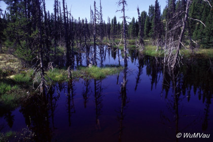 033_Canada-Osten-Labrador-Churchill-Falls