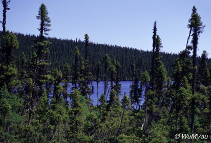 055_Canada-Osten-Neufundland