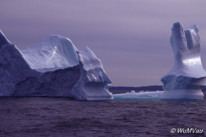 066_Canada-Osten-Neufundland-Iceberg-Alley