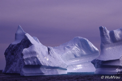 067_Canada-Osten-Neufundland-Iceberg-Alley