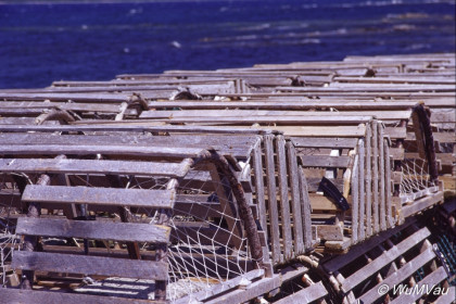 075_Canada-Osten-Neufundland