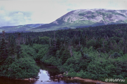 078_Canada-Osten-Neufundland