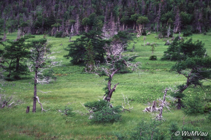 083_Canada-Osten-Neufundland