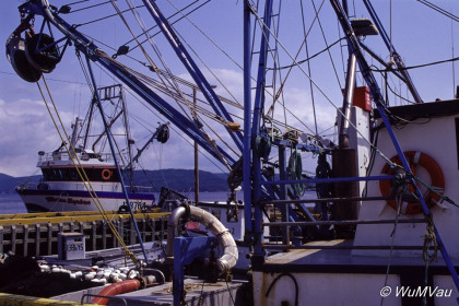 085_Canada-Osten-Neufundland