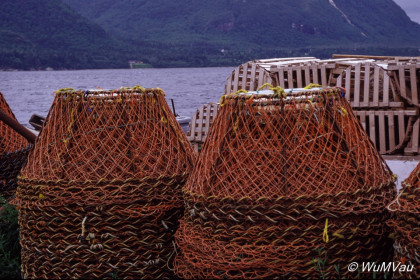 086_Canada-Osten-Neufundland