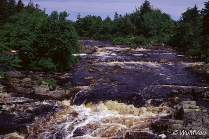 113_Canada-Osten-Nova-Scotia