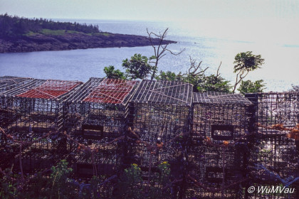 132_Canada-Osten-Nova-Scotia_Digby-Neck