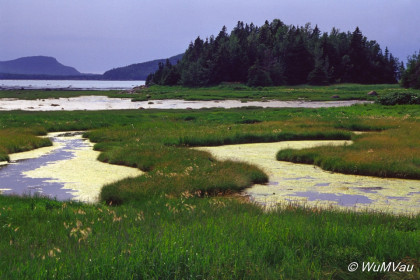 147_Canada-Osten-New-Brunswick