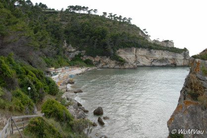 2007-06-01_17_56_48DSC_0004