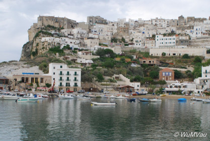 2007-06-01_18_35_18DSC_0009