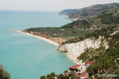 2007-06-02_11_46_29DSC_0013