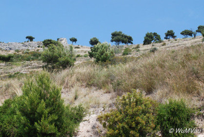 2007-06-02_12_40_23DSC_0019