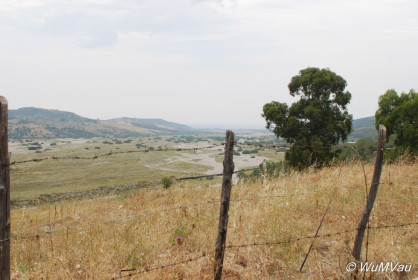 2007-06-03_12_22_35DSC_0028