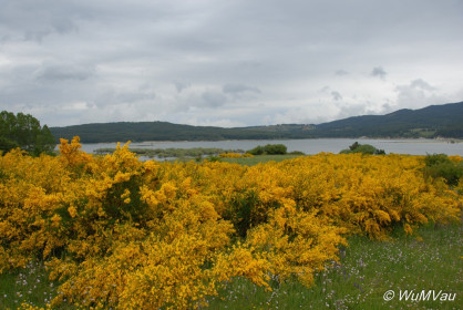 2007-06-03_14_52_30DSC_0036