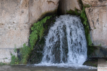 2007-06-05_11_22_36DSC_0043