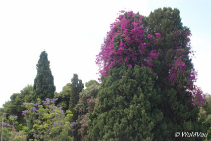 2007-06-05_11_29_51DSC_0045