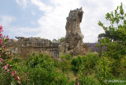 2007-06-05_11_43_06DSC_0051