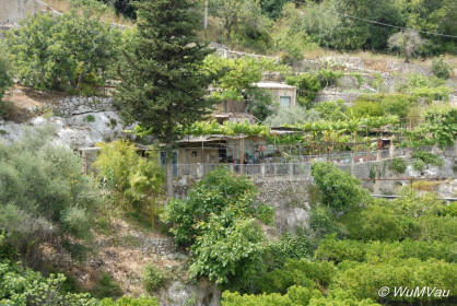 2007-06-05_14_46_50DSC_0082