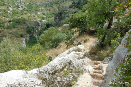 2007-06-05_15_12_24DSC_0091