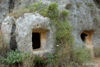 2007-06-05_15_14_02DSC_0093