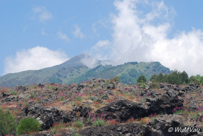 2007-06-06_12_09_48DSC_0089