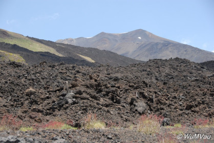 2007-06-06_12_41_06DSC_0130