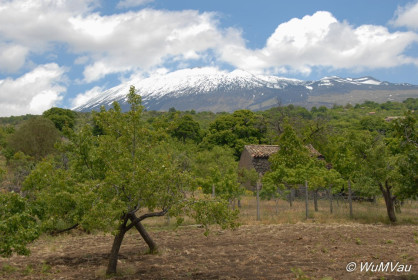 2007-06-06_13_08_38DSC_0137