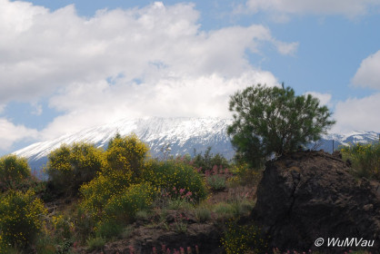 2007-06-06_13_24_12DSC_0103