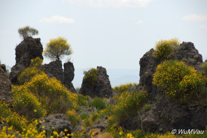 2007-06-06_13_24_30DSC_0141