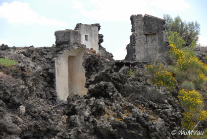 2007-06-06_13_26_06DSC_0144