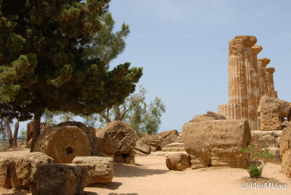 2007-06-07_11_55_08DSC_0214