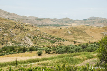 2007-06-07_13_29_42DSC_0235