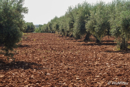 2007-06-08_10_07_39DSC_0181