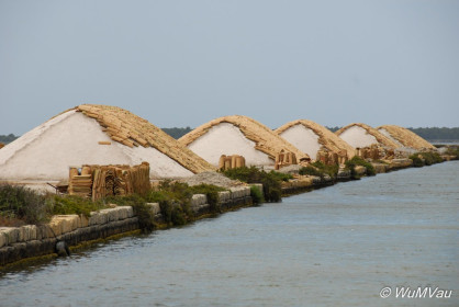 2007-06-08_14_00_08DSC_0273