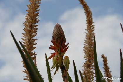 2007-06-08_15_23_04DSC_0295