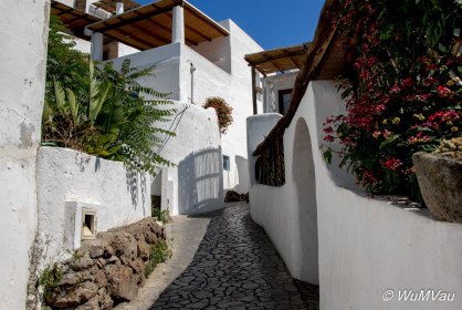 2007-06-14_15_38_32DSC_0169