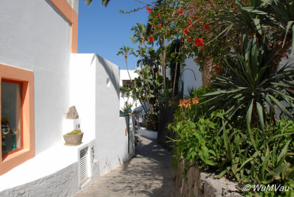 2007-06-14_15_48_50DSC_0184