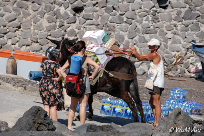 2007-06-14_16_47_46DSC_0223