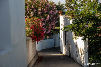 2007-06-14_17_53_56DSC_0305