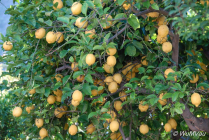 2007-06-14_17_58_20DSC_0307