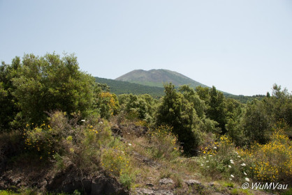 2007-06-18_11_48_12DSC_0103