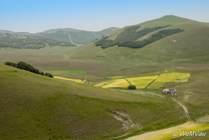 2007-06-20_13_07_44DSC_0133