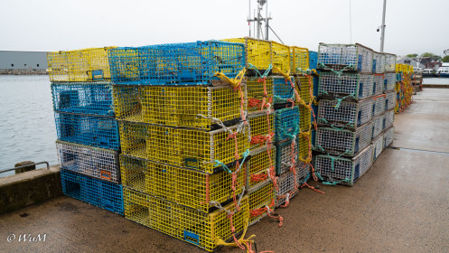 Hummerkörbe im Hafen