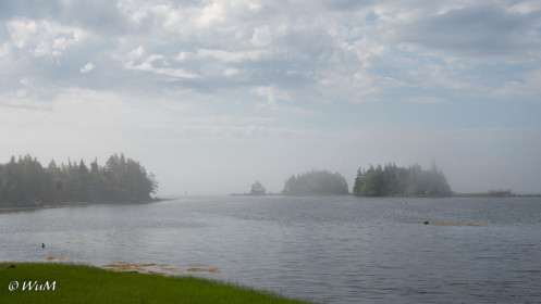 Nebel an der Südküste